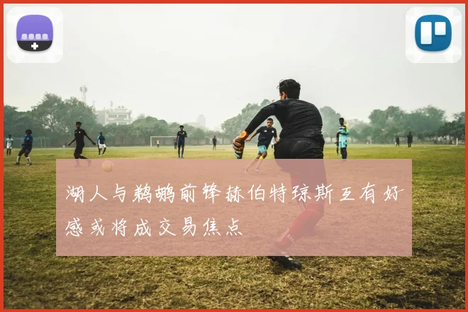 湖人与鹈鹕前锋赫伯特琼斯互有好感或将成交易焦点
