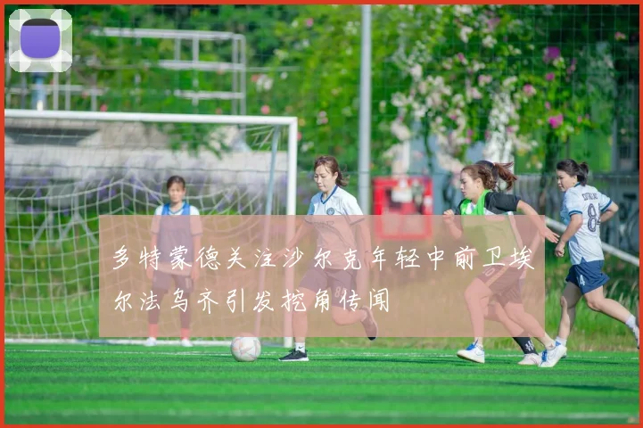 多特蒙德关注沙尔克年轻中前卫埃尔法乌齐引发挖角传闻